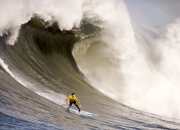 字母哥在TL比赛中锐不可当，比赛局势复杂引发热议！赢得满堂喝彩